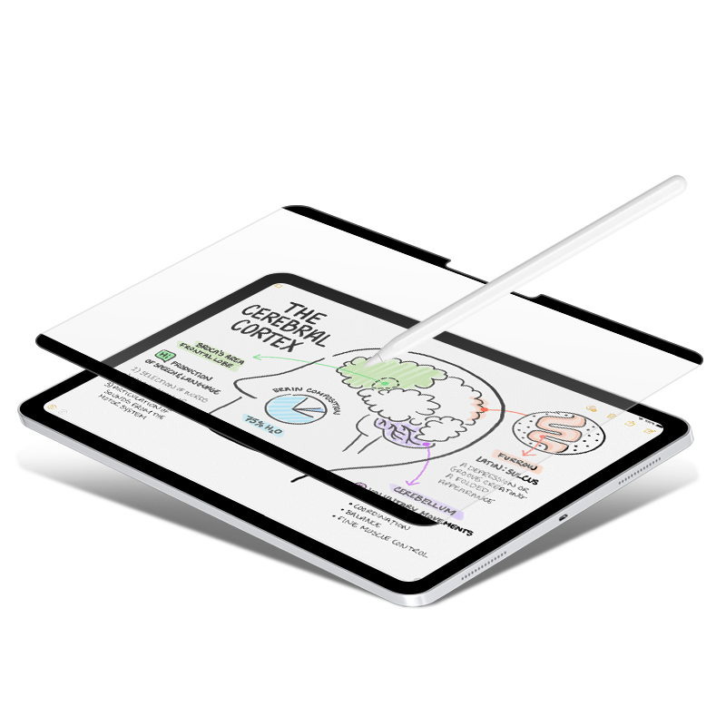 Magnetic Paper Film