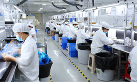 Factory scale doubles, growth stabilizes, mass production of automotive film materials